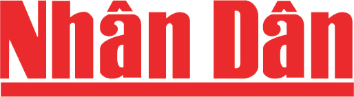 Nhân Dân